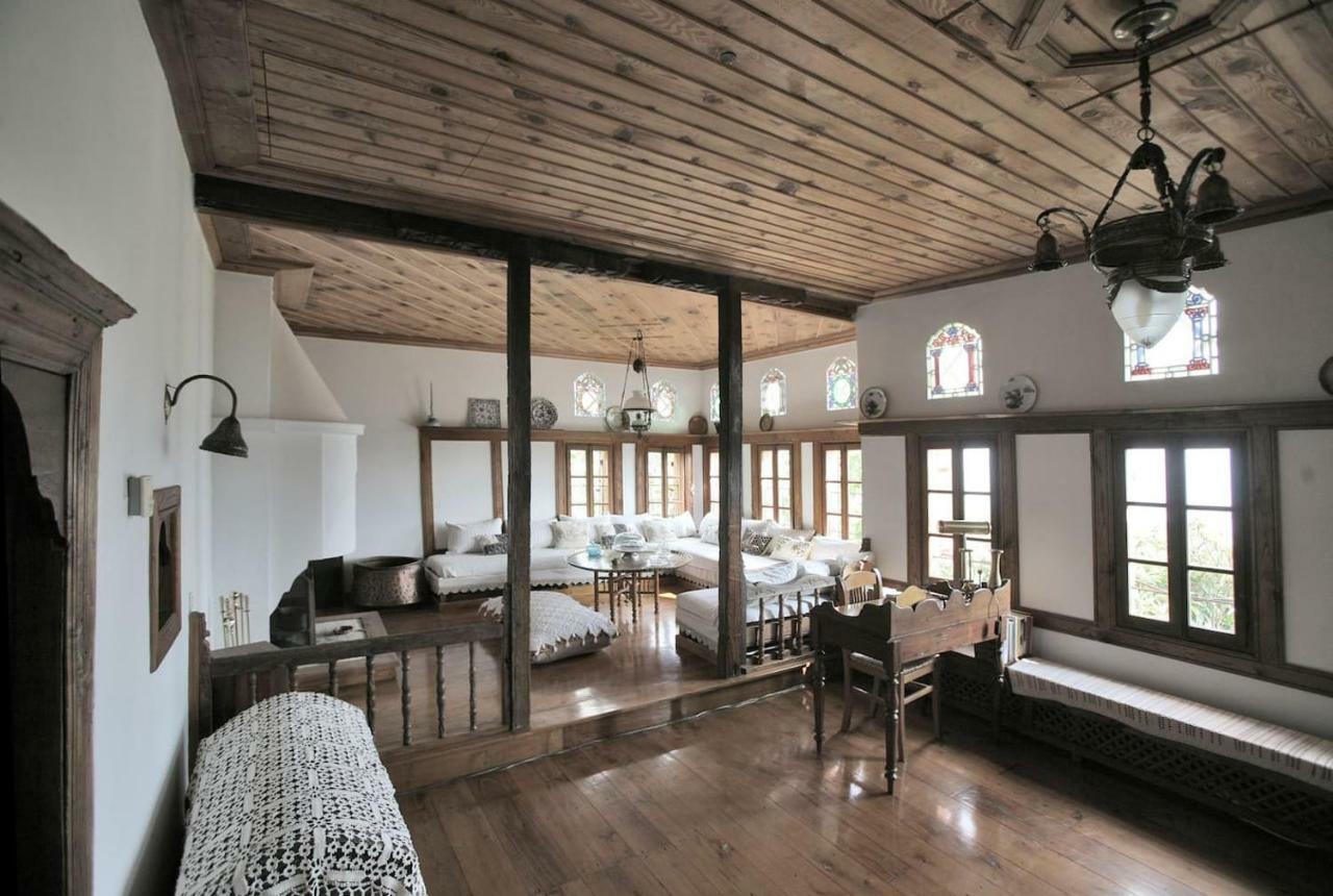 ויזיצה Pelion Belvedere - The Mansion מראה חיצוני תמונה